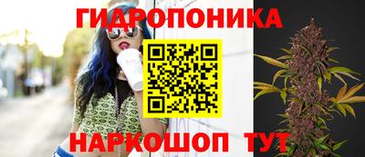 ГАЛЛЮЦИНОГЕННЫЕ ГРИБЫ Северобайкальск